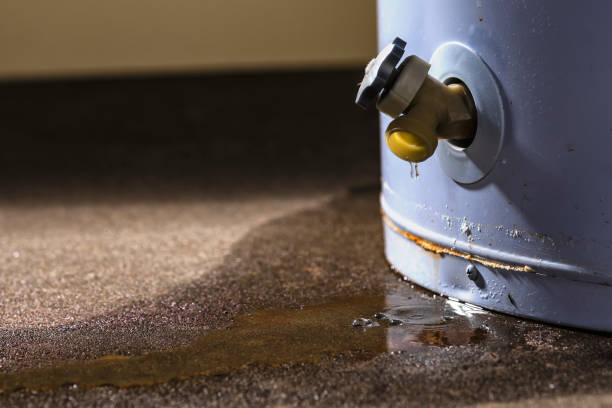 Best Mold removal after water damage  in El Portal, FL