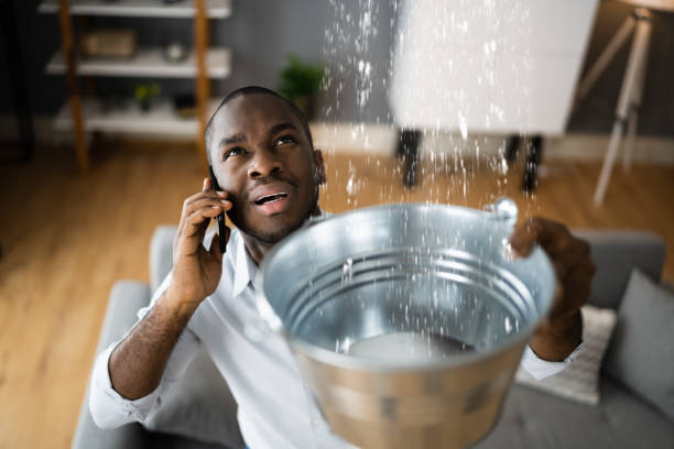 Best Commercial water damage restoration  in El Portal, FL