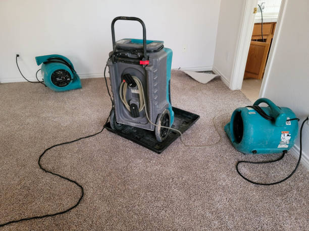 Best Water damage restoration specialists  in El Portal, FL