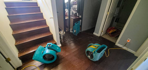 Best Local water damage restoration  in El Portal, FL