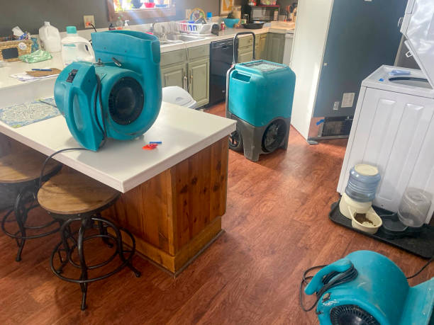 Best Flooded house restoration  in El Portal, FL