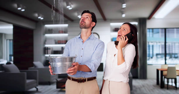 Best Fire Damage Restoration  in El Portal, FL