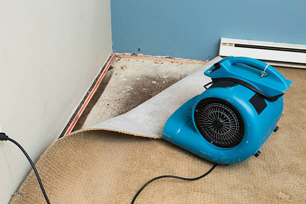Best Flood restoration services  in El Portal, FL